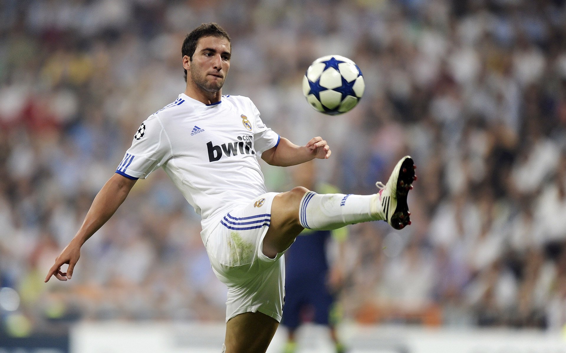 _老将带领奇才，战斗精神令人敬佩_，老将挂帅出征